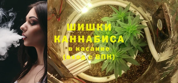 PSILOCYBIN Белокуриха